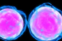 Graphic image of leukemia cells.