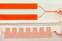 Photo depicting the device described in the article, showing two orange rectangles at the top, connected by orange wires and tubes to a microfluidic segment that looks like a tight wavy line.