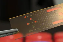 Photo of a pair of tweezers holding up a small microfluidics chip.