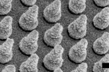 Graphic image of nanocones.