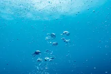 Photo of bubbles in water.