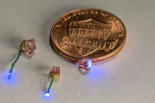 Photo of implantable light devices.