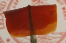 Photo of Bao lab's stretchable polymer film.