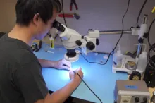 screenshots from video by Schecter Films depicting technology developed by Dr. Ada Poon's laboratory