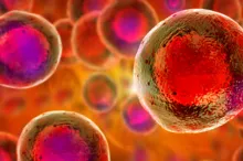 Graphic image of stem cells with nuclei in red on an orange background.