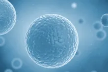 Graphic image of stem cells.