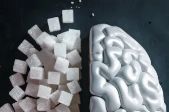 Photo of a brain in two halves, one half represented by sugar cubes stacked in a similar shape, the other side a 3D white brain.