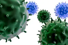 Graphic image of T cells.