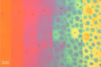 Image collage of bars that change from orange at far left through pink and purple with spots and green into yellow with green spots at far right. Scale says 50 nanometers.