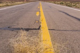 Photo of an open highway with scrub brush on either side, with a tumbleweed in the foreground.