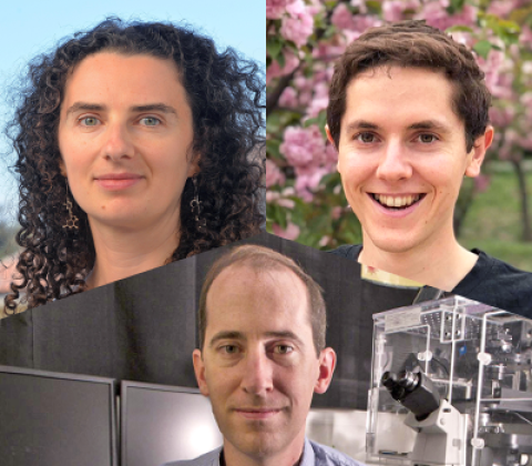 Composite image of the faculty PIs.