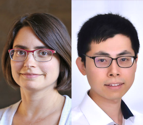 Composite image of the faculty PIs.