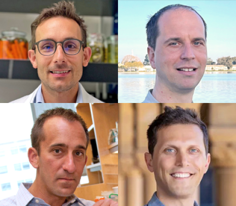 Composite image of the faculty PIs.
