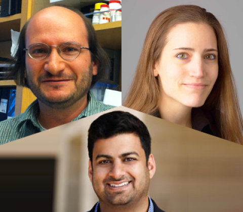 Collage of headshot photos of Michael Bassik, Livnat Jerby, and Ansuman Satpathy.