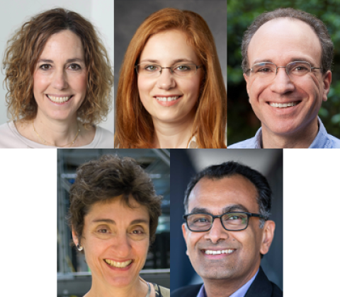 Collage of headshot photos of Shirit Einav, Anca Pasca, Jon Bernstein, Carla Shatz, and Purvesh Khatri.