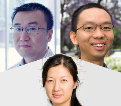 Collage of headshot photos of Bo Wang, Xiaojing Gao, and Alice Ting.