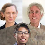 Composite image of the faculty PIs.
