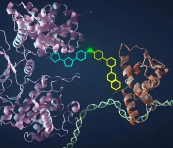 Graphic image of two twisting proteins attached together by linkages with honeycomb shapes.