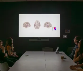 Photo of a number of people sitting around a table in a dim conference room, with brain images displayed on the projector screen.