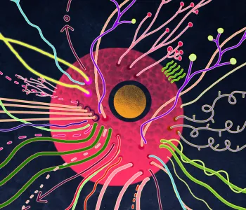 Illustration of a pink cell with colorful lines coming out of it in all directions.