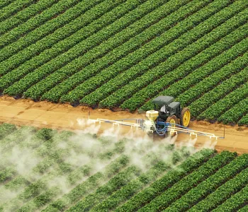 Photo of a large industrial machine between two sections of many rows of bright green crops, spraying the ones closest to it with a white mist.
