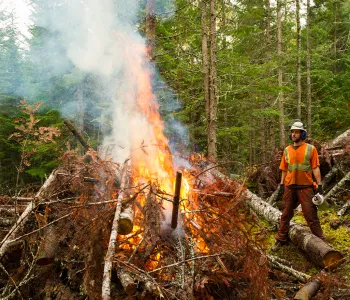 Stock photo outdoors of a man wearing safety equipment standing next to a large fire of stacked trees, with a forest in the background.