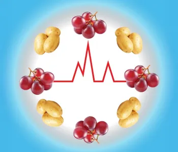 Graphic image of clusters of potatoes and grapes around a monitor line.