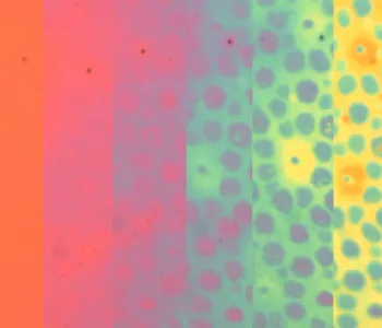 Image collage of bars that change from orange at far left through pink and purple with spots and green into yellow with green spots at far right. Scale says 50 nanometers.