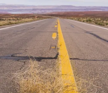 Photo of an open highway with scrub brush on either side, with a tumbleweed in the foreground.