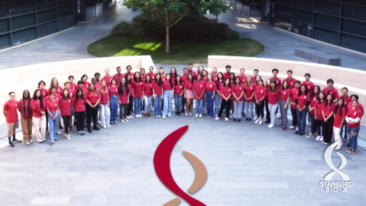 Application Deadline 2024 Bio X Undergraduate Summer Research Program application-deadline-2024-bio-x-undergraduate-summer-research-program