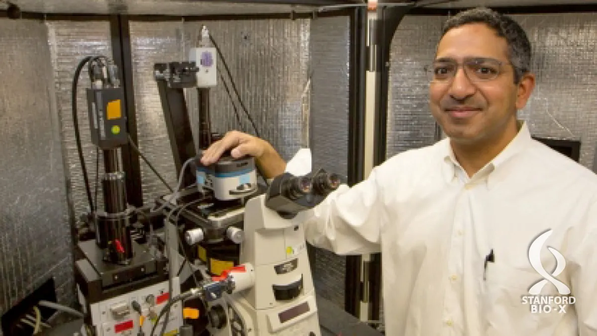 New microscopy technique maps mechanical properties of living cells ...