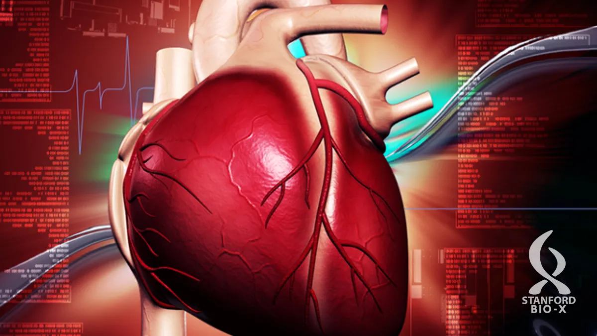 cardiovasc_banner_new.webp?