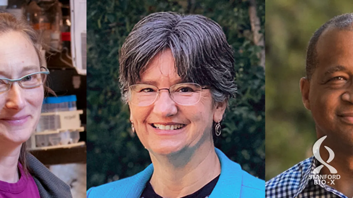Six Stanford faculty elected to National Academy of Sciences | Welcome ...