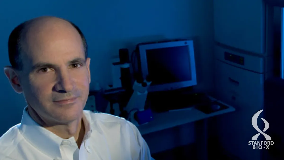 Artificial muscle fibers help keep muscle stem cells potent in lab ...