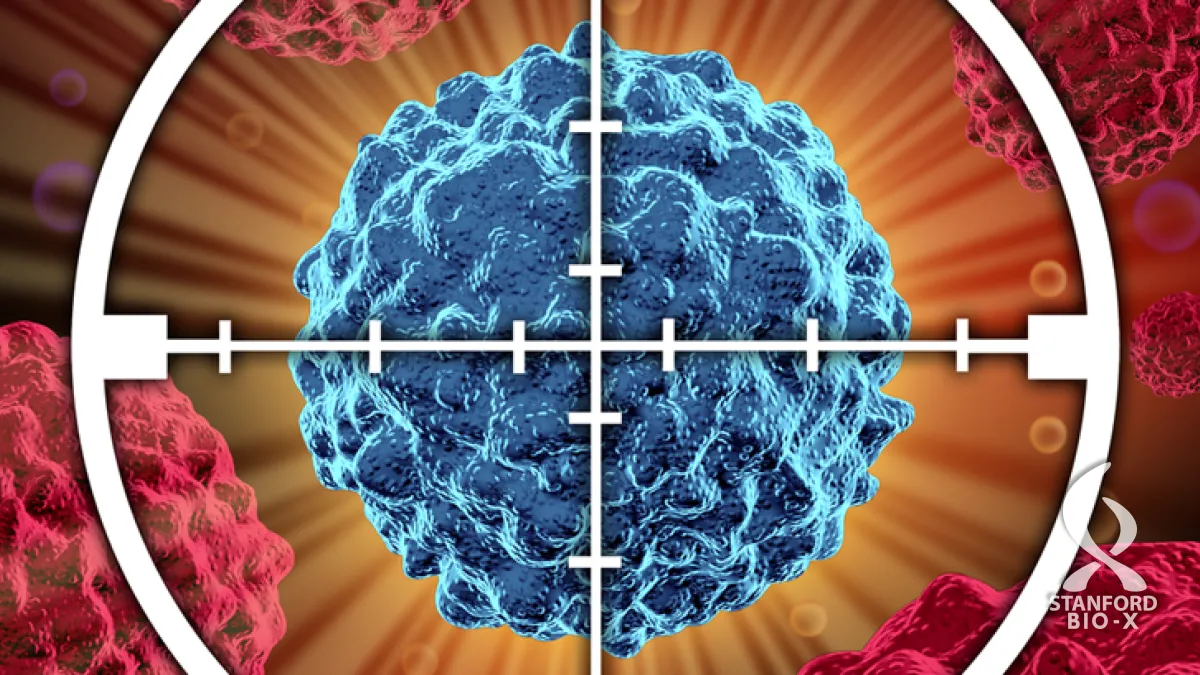 Previously elusive targets for cancer immunotherapy identified ...