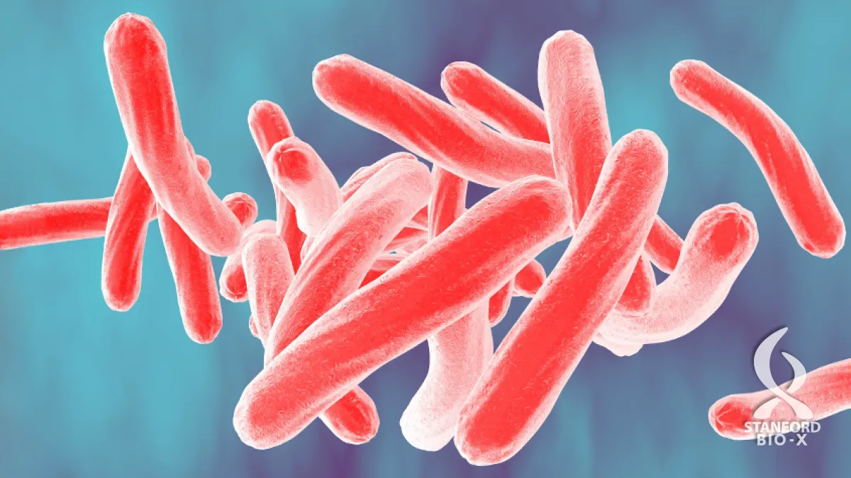 Cancer drugs might be able to target tuberculosis study finds