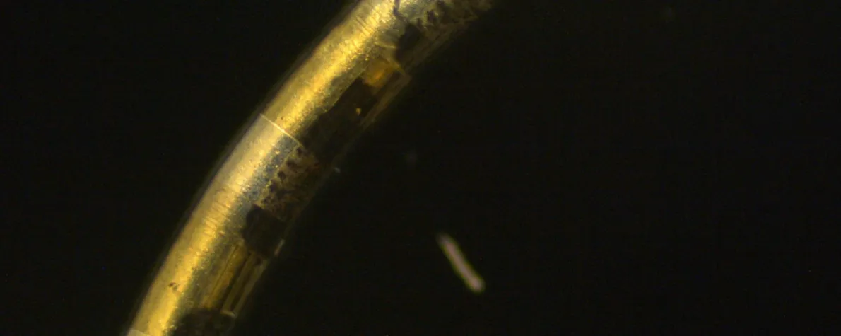 Image of a thin gold plated wire arcing across a black background.