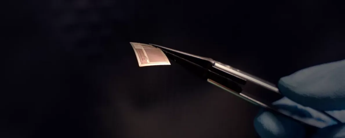 Image of a gloved hand holding a tiny and extremely thin chip up with tweezers.
