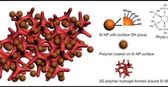 Photo courtesy of Yi Cui: An illustration of a new battery electrode made from a composite of hydrogel and silicon nanoparticles (Si NP). Each Si NP is encapsulated in a conductive polymer surface coating and connected to a three-dimensional hydrogel framework.