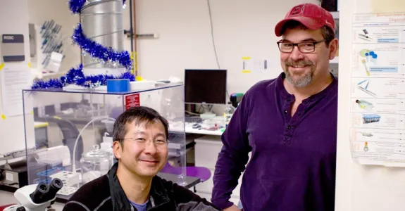 Photo of Dr. Alan Cheng, seated in a wet laboratory area, with Dr. Anthony Ricci standing beside his chair, with both professors smiling at the camera.