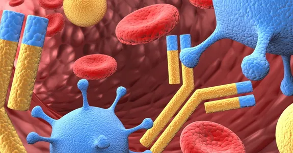 Graphic image of antibodies in bloodstream.
