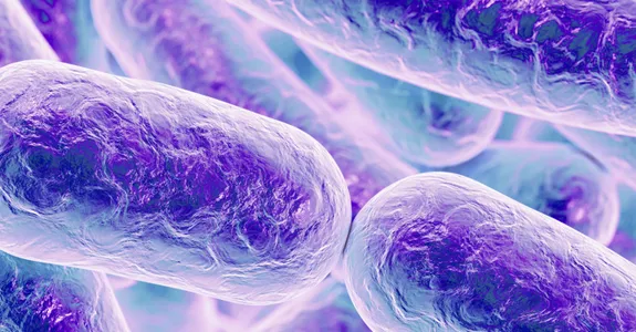 Graphic image of cylindrical bacteria depicted in purple.