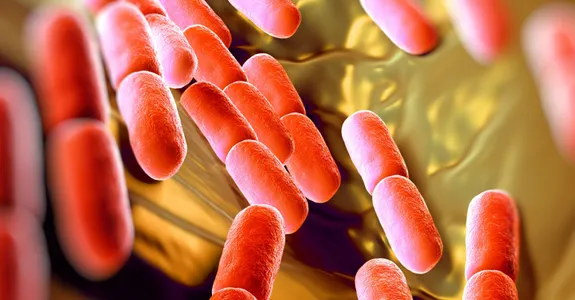 Graphic image of bacteria.