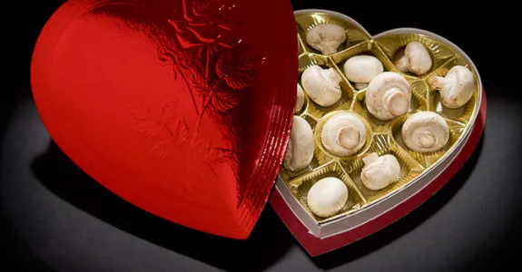 Photo of mushrooms in chocolates box.