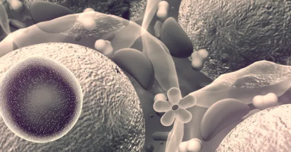 Graphic image of enzyme molecules.