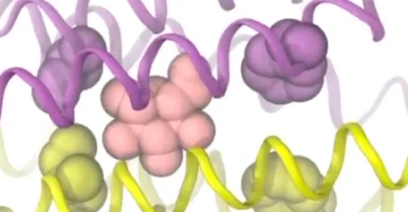 Screenshot from simulation graphically depicting cellular transport.