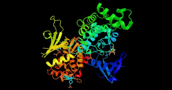 3D graphic image depiction of a complex protein with multiple spiral domains in bright colors.