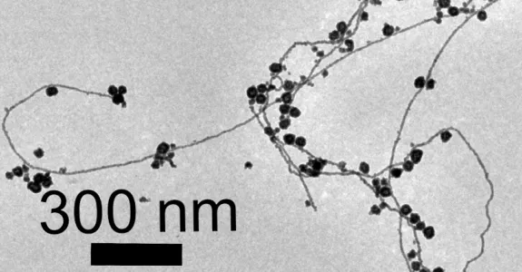 Image of gold nanorods, which show twisting lines with dark dots.