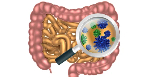 Graphic image depicting gut bacteria.