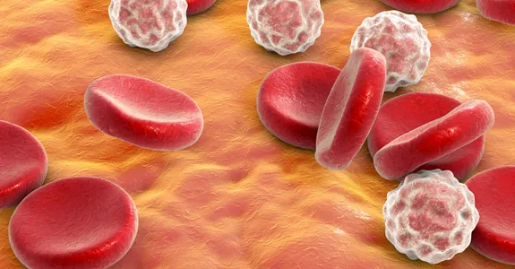 Graphic showing white and red blood cells.